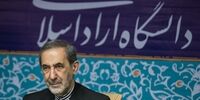 دلایل عجیب برای بازنشستگی اجباری ۹ تن از استادان علوم سیاسی دانشگاه آزاد تهران/بی توجهی ولایتی به نامه اعتراضی!