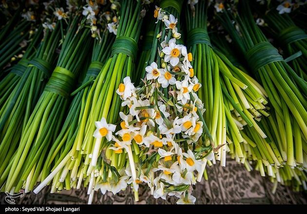 image24