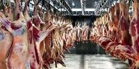 قیمت جدید دام زنده/ قیمت منطقی گوشت چقدر است؟