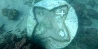  کشف شیء ناشناخته در آب‌های خلیج‌فارس صحت دارد؟
