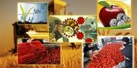 صادرات محصولات کشاورزی رکورد زد