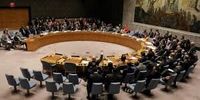 درخواست ژاپن برای عضویت دائم در شورای امنیت سازمان ملل