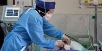 ماجرای ضرب و شتم یک پرستار در تالش / اطلاعیه دانشگاه علوم پزشکی گیلان