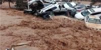 وزیر اطلاعات عازم شیراز شد/تلفات سیلاب شیراز افزایش یافت