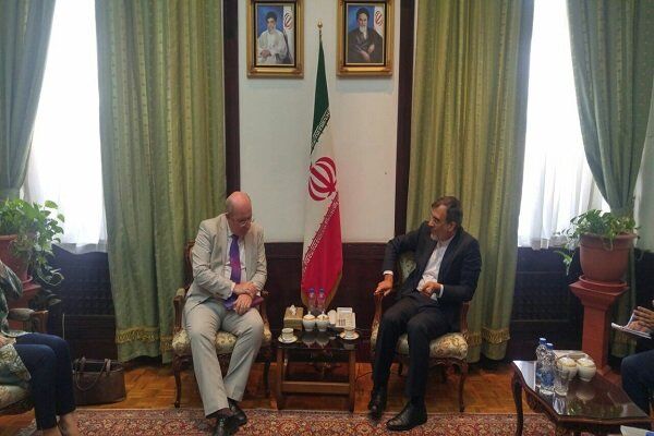 نماینده ویژه انگلیس با جابری انصاری دیدار کرد