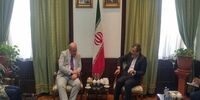 نماینده ویژه انگلیس با جابری انصاری دیدار کرد