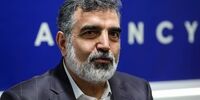 کمالوندی: شهید سلیمانی مرد میدان و دیپلماسی بود 
