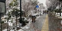  پیش بینی برف و باران در این استان ها