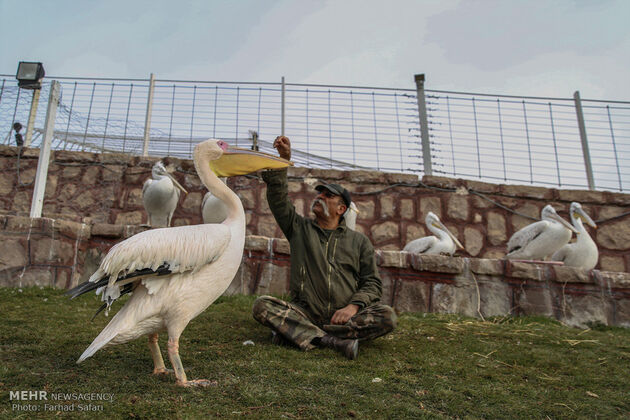 مرد طبیعت