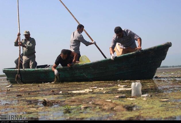 پاکسازی انزلی