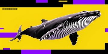 بیت‌کوین در دوراهی ۶۰ هزار دلار یا شکست ۷۴ هزار دلار | نهنگ‌ها سودهای خود را فروختند | دو سناریوی محتمل از آینده بیت‌کوین