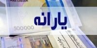 توضیحات عضو کمیسیون تلفیق درباره یارانه معیشتی+فیلم