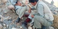 متجاوزان به محیط‌بانان دستگیر شدند