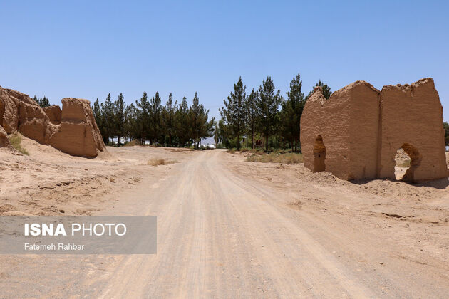 61958696_fatmeh-rahbar-11