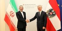 باقری با وزیر امور خارجه اتریش دیدار کرد