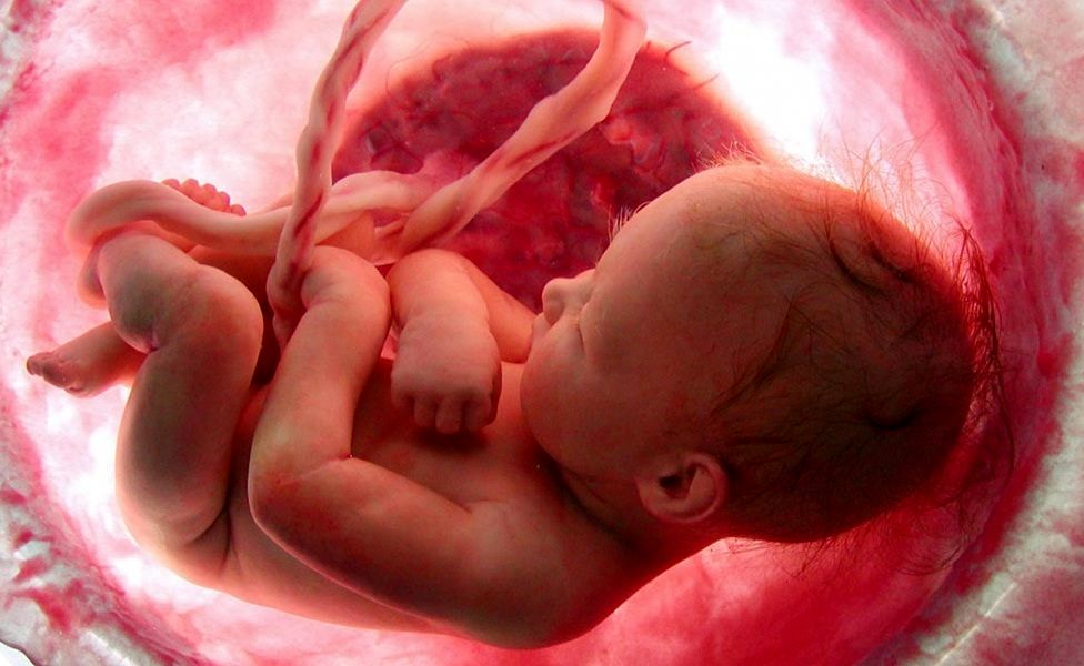 انتخاب جنسیت جنین  ممکن خواهد شد 