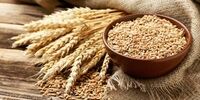 اعلام نرخ هر کیلو گندم برای خرید تضمینی