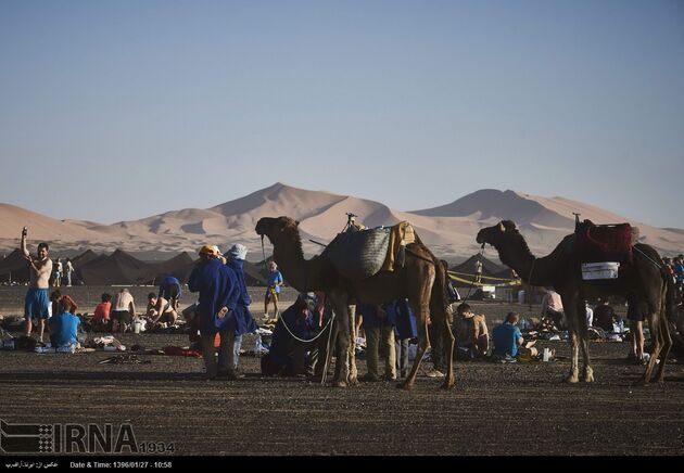 ماراتن شن در صحرای مراکش