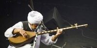 دو تار ایرانی در فهرست میراث جهانی ناملموس یونسکو به ثبت رسید