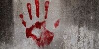 فوت مادرجوان به دست کودک 2 ساله‌اش+ جزئیات
