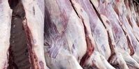 آخرین خبر درباره وضعیت عرضه دام در ایام اربعین