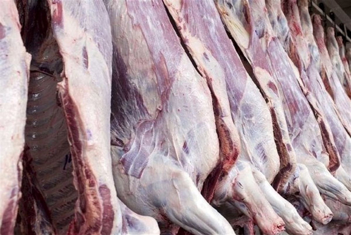 افزایش قیمت گوشت گوسفندی در بازار
