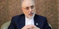 حمایت تمام‌قد «صالحی» از اقدامات دولت برای گسترش روابط با سایر کشورها