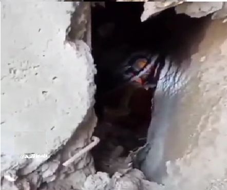 لحظه نفس گیر ورود آتش‌نشانان به طبقه زیرین متروپل + فیلم