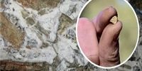 رونمایی از ذخایر عظیم طلا که سال‌ها پنهان مانده بود/ فوران طلا از دل زمین