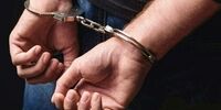 قاتل استاد دانشگاه به چنگ قانون افتاد / انگیزه قتل چه بود؟