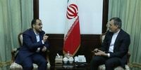 سخنگوی انصارالله یمن با جابری انصاری دیدار کرد