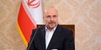 مشاوران قالیباف او را در دام انداختند