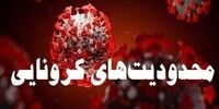 مشاغل مجاز به فعالیت در طول قرنطینه