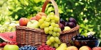 این میوه ها از آلزایمر جلوگیری می کند