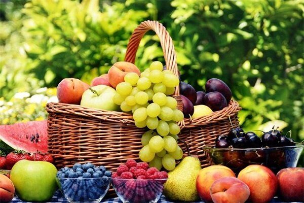 این میوه ها از آلزایمر جلوگیری می کند