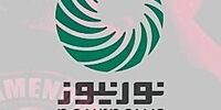 گرفتن پاسپورت علی دایی و همایون شجریان، صدای رسانه شورای عالی امنیت ملی را هم درآورد