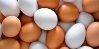 افزایش شدید قیمت تخم مرغ/ ماجرای شوک بزرگ تخم مرغی چیست؟