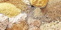 مدیرعامل اتحادیه دامداران استان تهران: واردات نهاده دامی قطره‌چکانی انجام می‌شود
