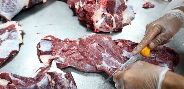 گوشت قرمز در بازار تهران چند؟ دو علت اصلی افزایش قیمت‌ها