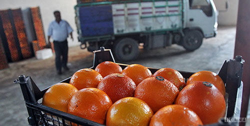 فروش پرتقال‌های رنگ‌شده در بازار !