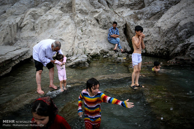 آبتنی تابستانی در چشمه علی