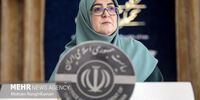 سخنگوی دولت: ایران پیام هایی از کشورهای میانجی دریافت کرده است