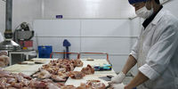 صادرات مرغ دوباره  ممنوع شد