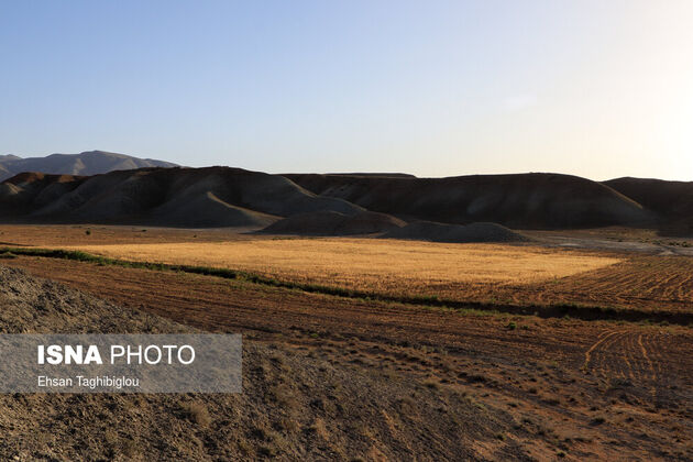 61968534_taghi-beygloo-isna-18
