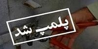 پلمب ۸۰ مرکز غذایی متخلف استان تهران