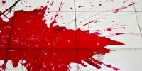 قتل تلخ یک زن توسط شوهرش در تهران/ متهم: همسرم را با اتصال برق کشتم و از خانه فرار کردم