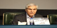 عادلی: فقط دنبال کاسبی از تنگه هرمز نباشیم؛ آن را حفظ کنیم/ همه دنیا را نترسانیم و برعلیه خود نکنیم + فیلم