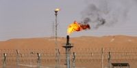 ایران خواستار معافیت از کاهش تولید اوپک‌ شد
