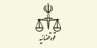 سخنگوی قوه قضاییه: دولت به سرعت گرفتاری و مشکلات معیشتی مردم را پیگیری و رفع کند