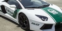 باورتان می شود این خودروی خارق‌العاده پلیس دبی است!+تصاویر